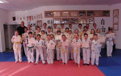 Ergebnisse der Gürtelprüfung Taekwon-Do am 15. April 2016