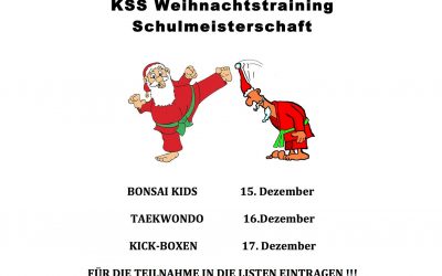 KSS Schulmeisterschaft 2016
