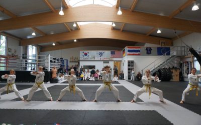 Ergebnis Taekwon Do Prüfung